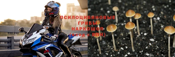 ГАЛЛЮЦИНОГЕННЫЕ ГРИБЫ Алексеевка