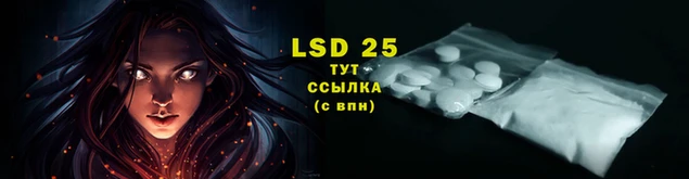 ГАЛЛЮЦИНОГЕННЫЕ ГРИБЫ Алексеевка