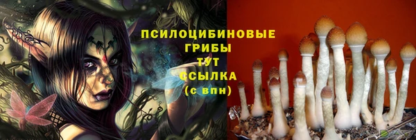 метадон Арсеньев