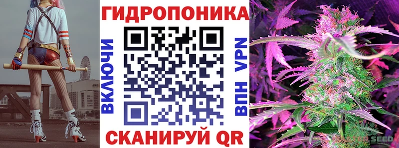 Каннабис SATIVA & INDICA  наркота  Тавда 